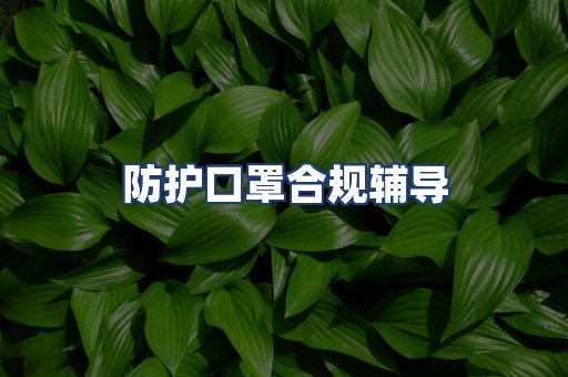 防护口罩合规辅导