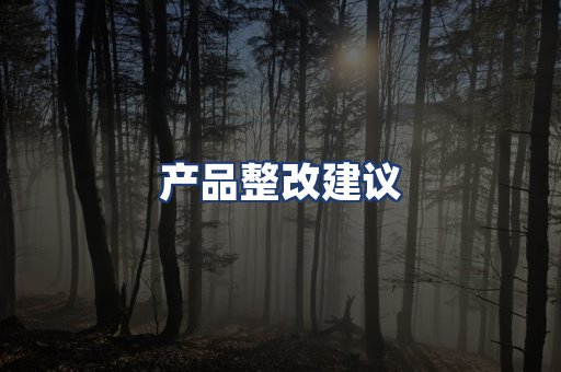 产品整改建议