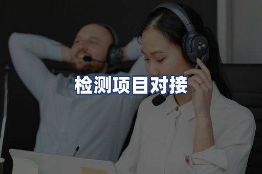 检测项目对接